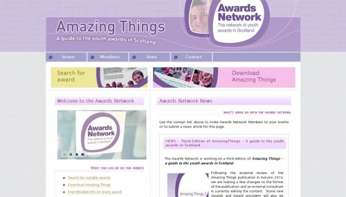 Screenshot of The Awards Network voluntary sector website